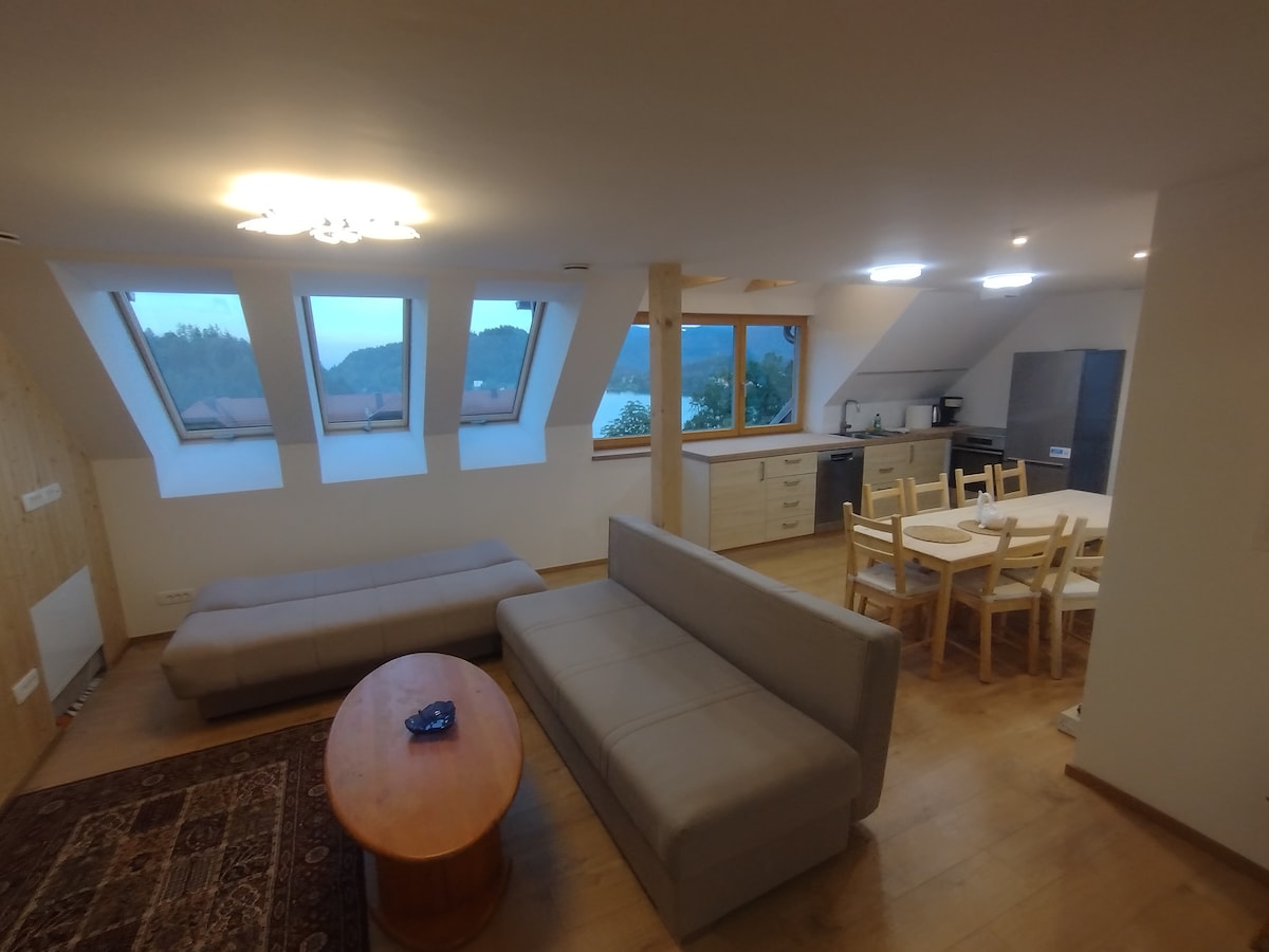 9-bedroom Lakeview Apartment Eagle’s Nest Plus