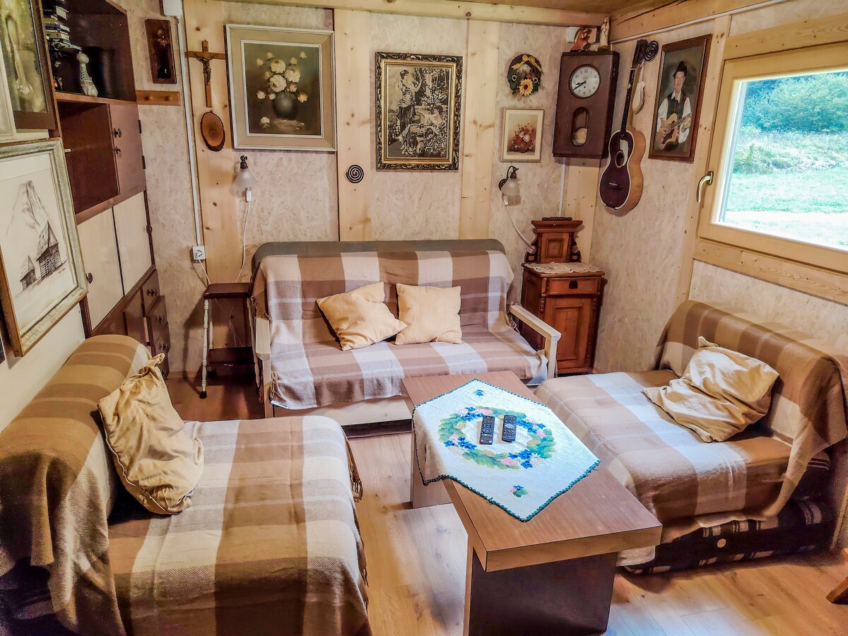 Alpine cabin in Voje Valley