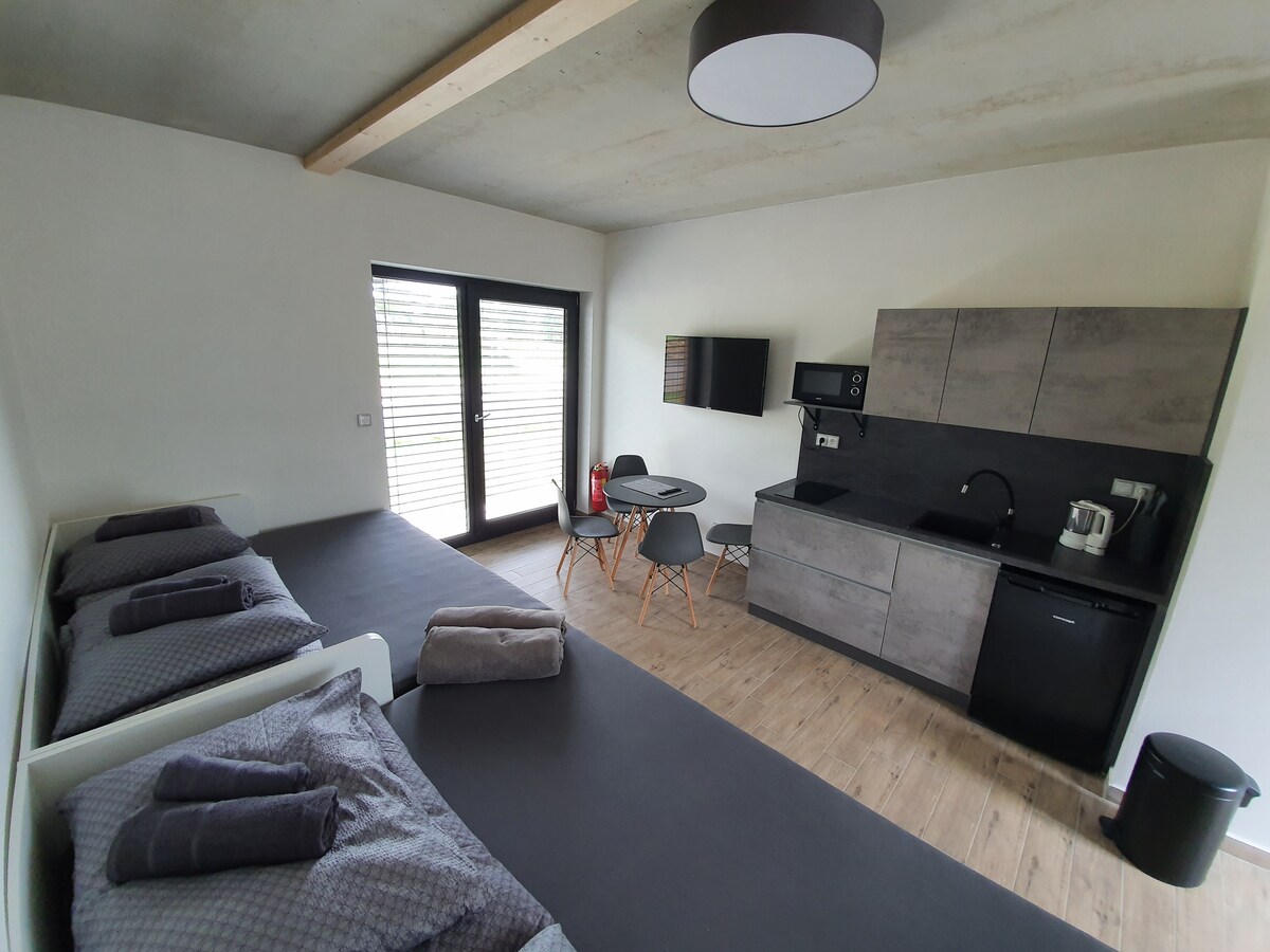 Relax Vila Lipno- apartment by Windy Point Beach